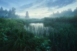 热血集结，为国争光！非洲电竞选拔赛呼唤英雄